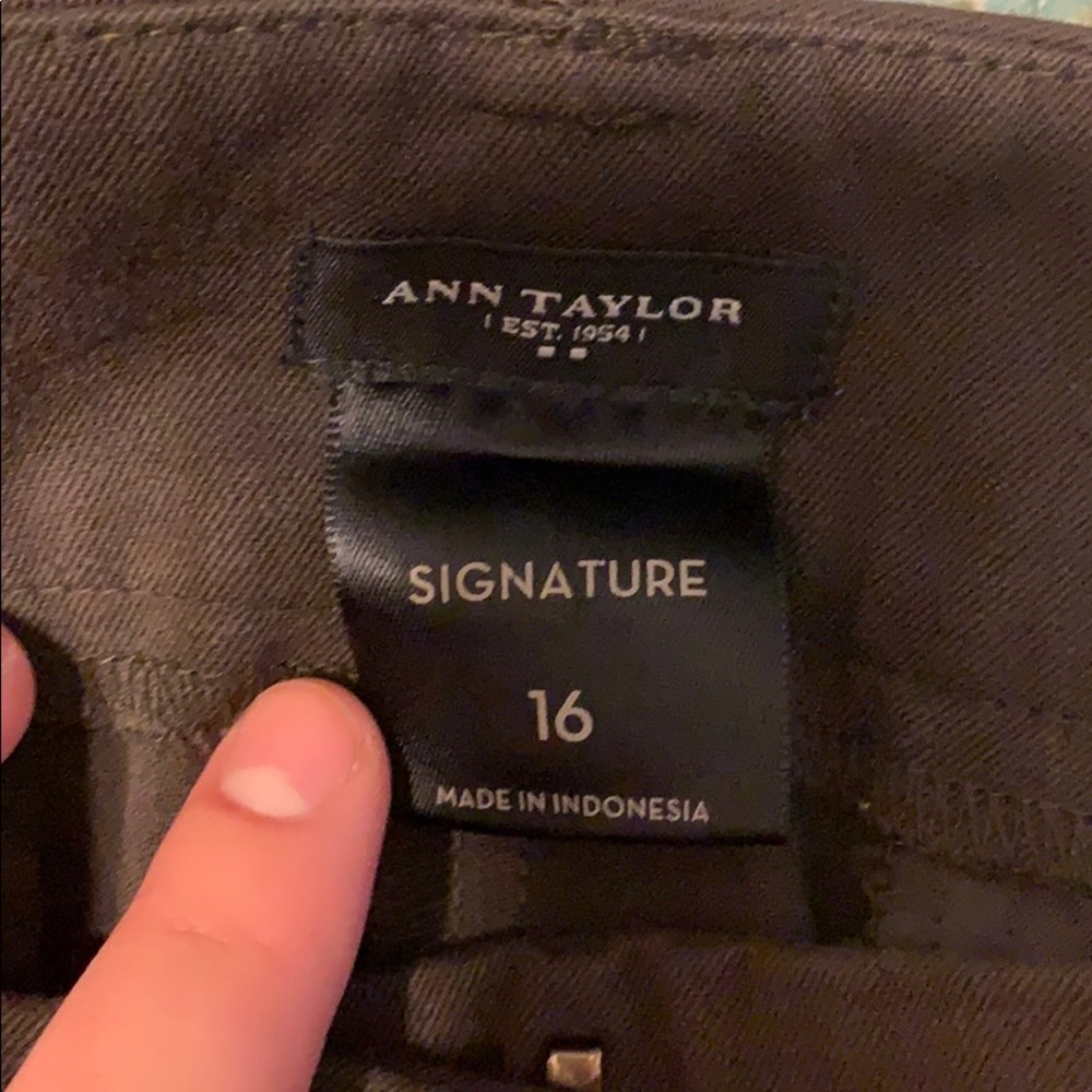 Ann Taylor dress pant